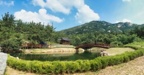 멱 감던 태안 샘골, 생태·문화 살아있는 도시공원으로 재탄생