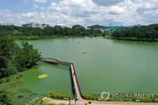녹조 발생한 풍암호수공원