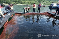 열탕 남해바다 심각하네…남은 물고기라도 살려야죠