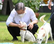조장가헤어샵 | 이재명, 반려동물 공약…"양육비 낮추고 개 식용 금지"