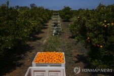 호주, 농업 분야 인력난에 영주권 가능한 농업비자 신설