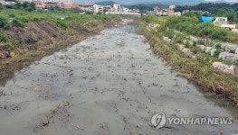 하천 물길 확보 비상