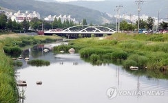 [창원소식] 창원천 4.6㎞ 산책로 무료 와이파이 팡팡