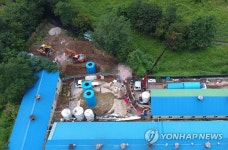 홍천 양돈농가서 ASF 확진…살처분 진행