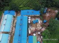 홍천 양돈농가서 ASF 확진…살처분 진행