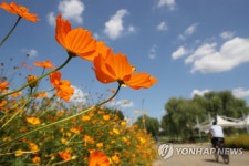 파란 가을 하늘 아래