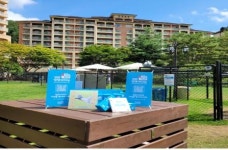 반려동물과 함께 강원도로 오세요…댕댕여지도 개설