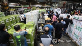 추석 과일 경매