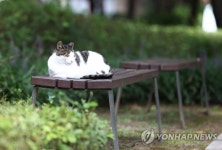 가을 햇살 받으며 쿨쿨