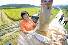 세종지역 올해 첫 벼 수확