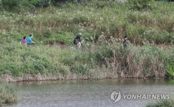 여유로운 도심 천변 즐기기