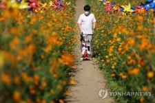 아빠하고 나하고