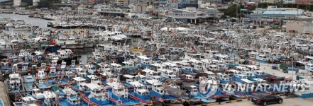 선박으로 가득찬 국동항