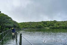 한라산에 숨은 호수 사라오름 분화구