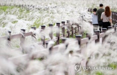 가을맞이 은빛 물결