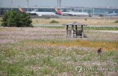 인천공항 하늘정원에 찾아온 가을