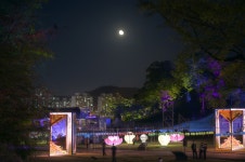 미디어아트로 물든 공주 공산성…1천500년 백제로의 시간여행