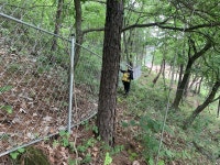 단양국유림관리소, 불법 산지전용·구조물 설치 11건 적발