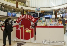 코리아 페어 인 인디아