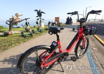 제주서도 개인이동수단 인기