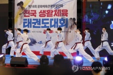 멋진 태권도 시범