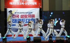 고양시태권도시범단 공연