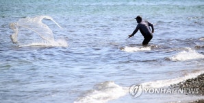 가을 투망