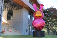 궂은 날씨에도 오세요 홍천 무궁화수목원,숲속도서관 7일 오픈