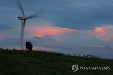 해질녘 목장 풍경