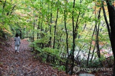 단풍이 물들기 시작한 선재길을 걷다
