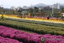 국화 가득한 전곡선사유적지
