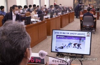 답변하는 이기흥 대한체육회장
