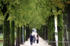 비 온 뒤 성큼 찾아온 가을