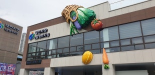 볼거리 늘어난 광주 대인예술시장 놀러오세요