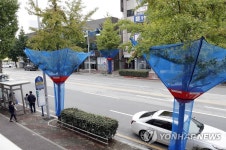광주 북구, 은행나무 열매 그물망 설치