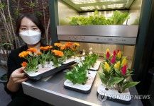 식물생활가전 LG 틔운 출시