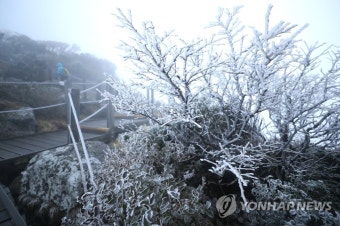 한라산에 올해 첫 상고대