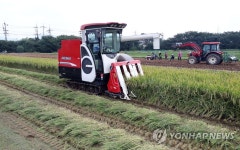 토마토→벼→오이…충남 시설하우스서 국내 첫 3모작 성공
