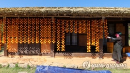 제철 맞은 곶감