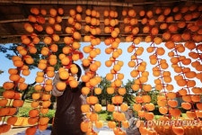 제철 맞은 곶감