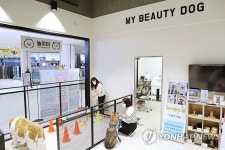 롯데마트, 펫 전문 매장 은평점 등에 오픈