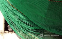 육교철거로 보금자리 잃게 된 비둘기 세입자