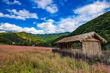 올가을 10만 명이 영월 동강 변 먹골마을 찾은 까닭은