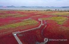 단풍빛으로 물든 갯벌
