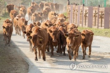 축사로 들어가요