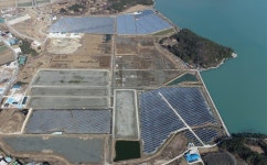 완도 갯벌, 해양치유 제품으로 거듭난다