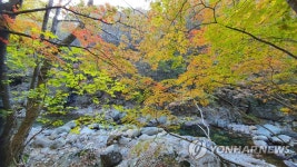 지리산 뱀사골 물들인 단풍