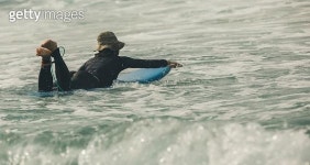 백상아리 시력으로 본 수면 위 사람과 바다표범 구분 안 됐다