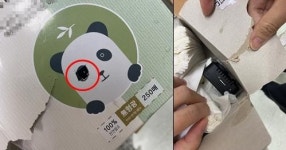 여교사 화장실에 몰래카메라 설치한 초등학교 교장 긴급체포(종합)