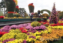 은은한 국화 향이 가득한 평화공원으로 오세요!